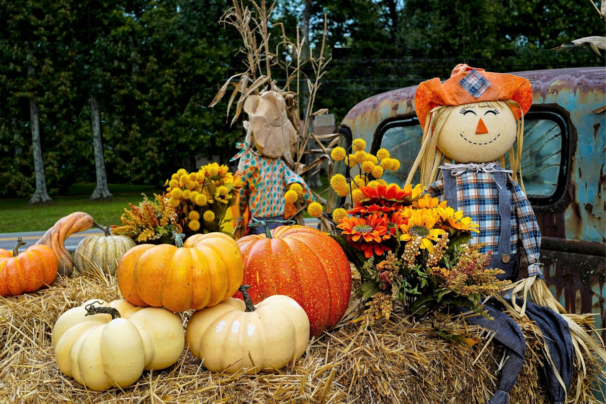 The Hayride Survival Guide: Breathe Easy Through Every Fall Adventure