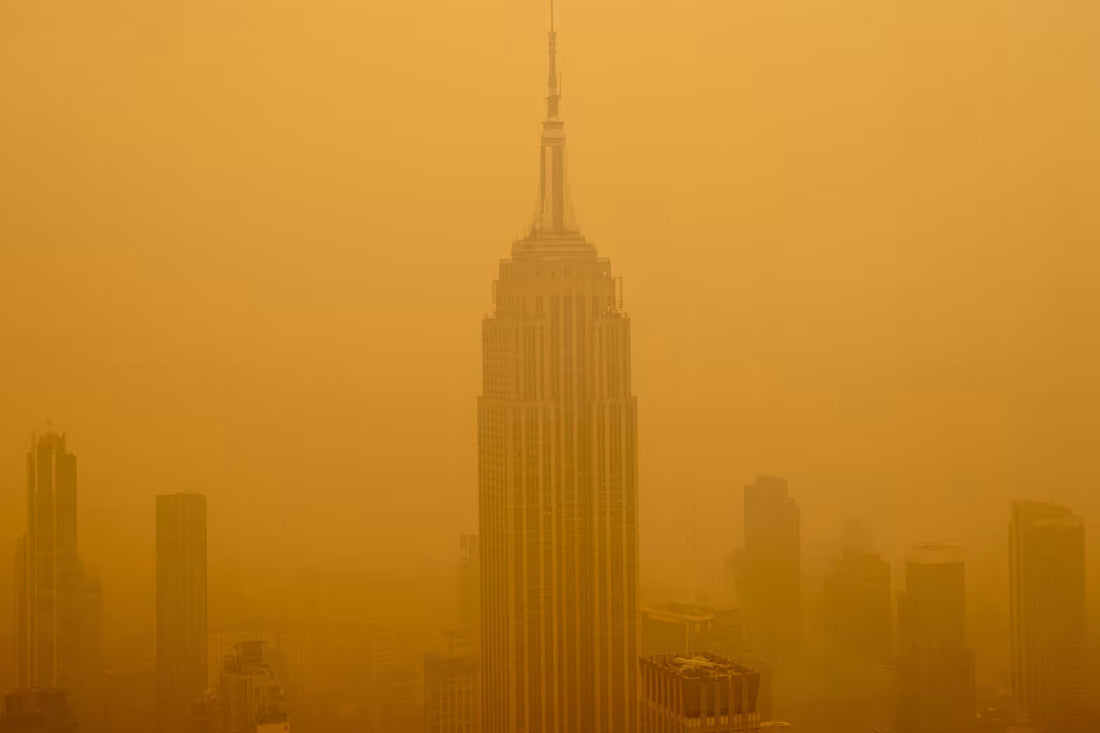 Wildfire Smoke, Summer Heat, and Smog Season: A Simple Way to Protect the Air You Breathe