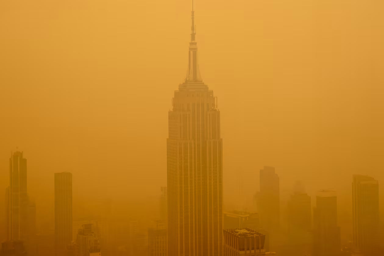 Wildfire Smoke, Summer Heat, and Smog Season: A Simple Way to Protect the Air You Breathe