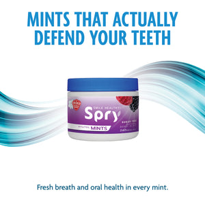 240ct Xylitol Mints