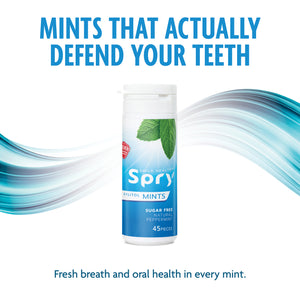 45ct Xylitol Mints
