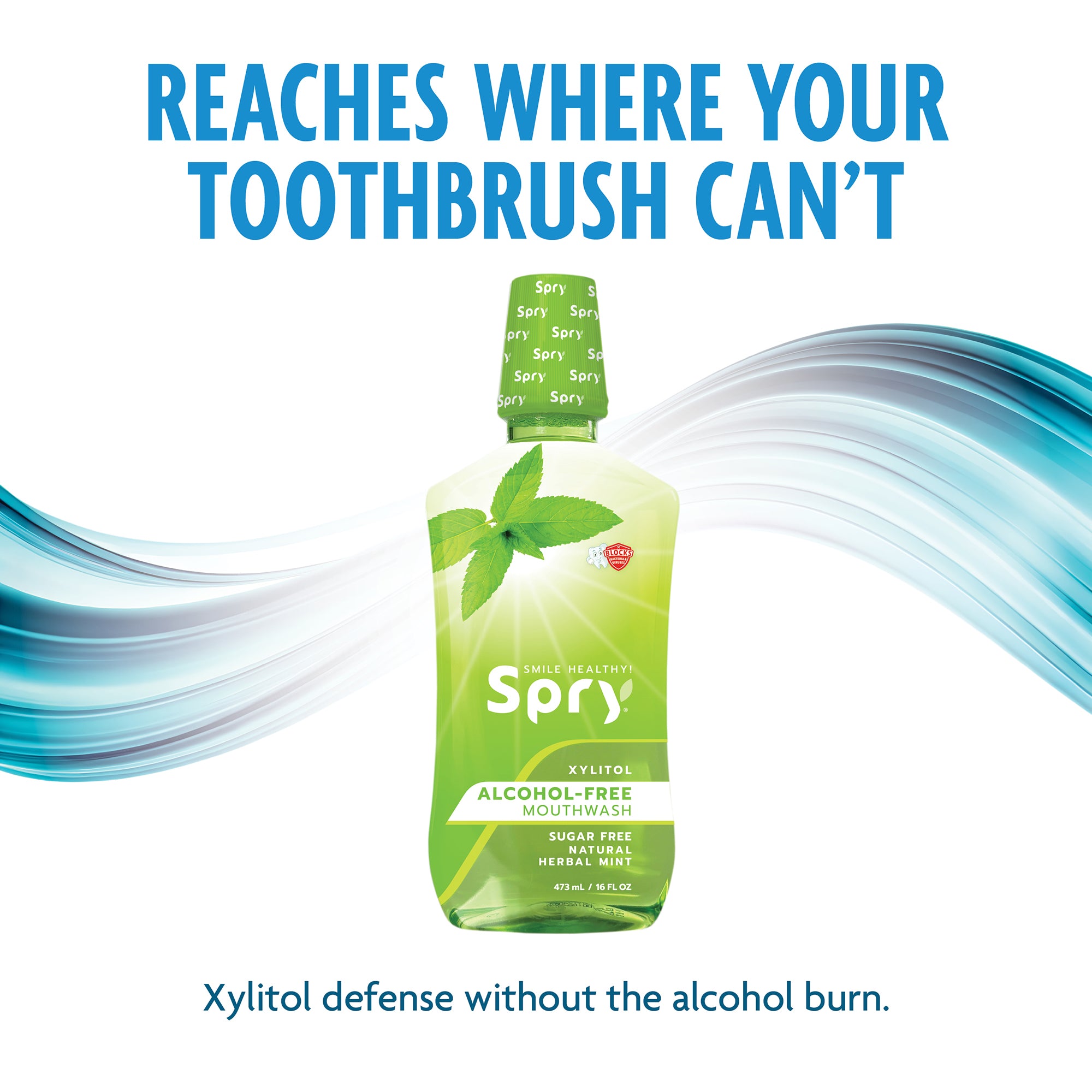 Xlear Mouth Wash - Thumbnail 5