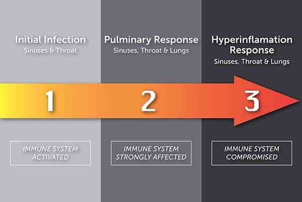 The Three Stages of SARS-CoV-2 Infection