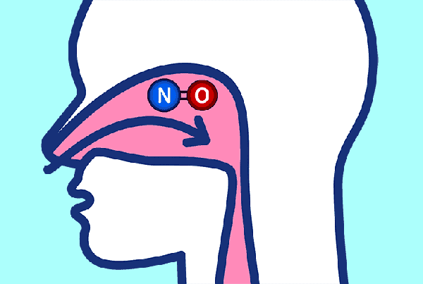 Xylitol and Nitric Oxide Creation in the Nose